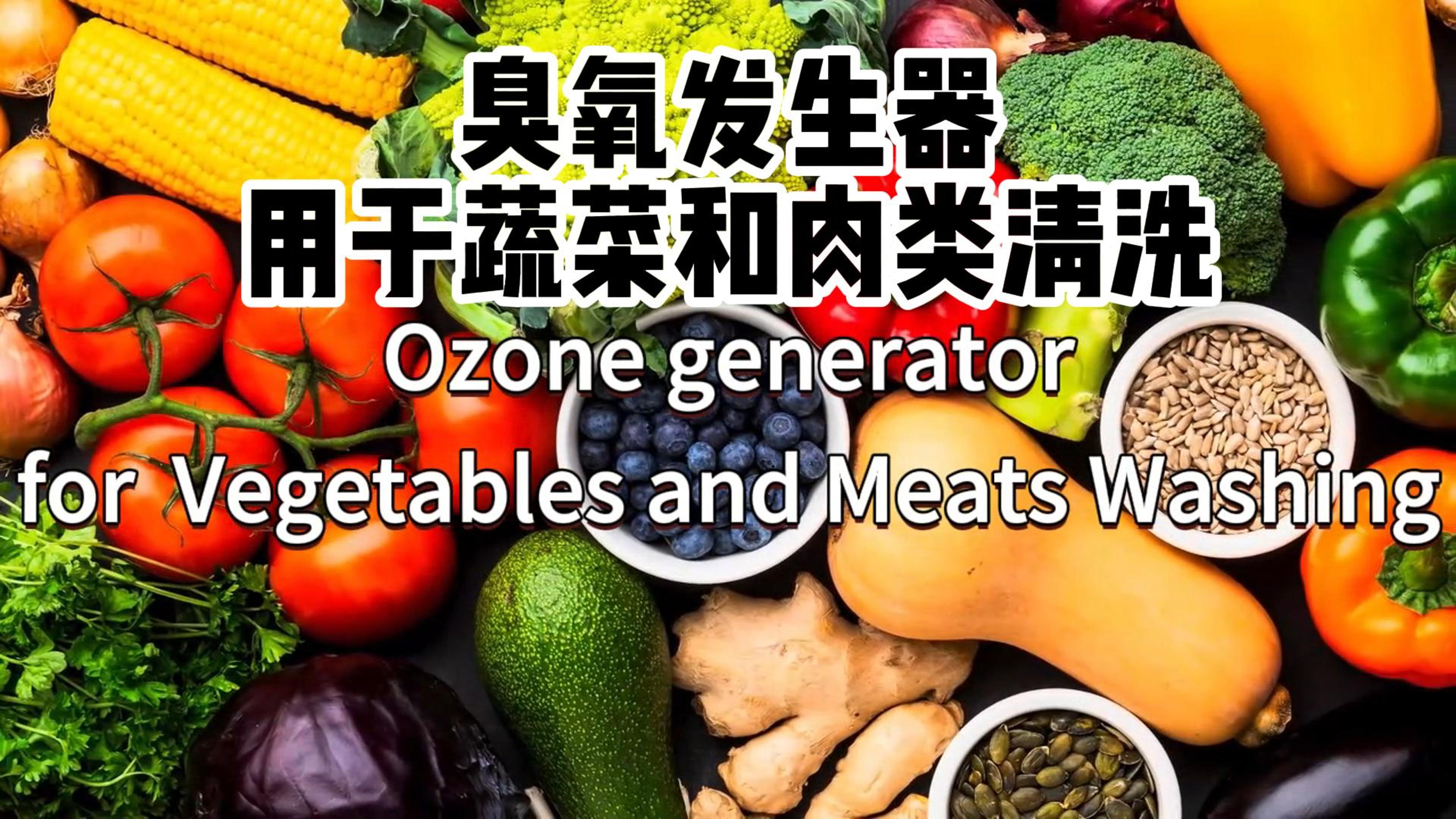 臭氧發(fā)生器在食品加工和儲(chǔ)存過(guò)程中用于蔬菜、水果和肉類的消毒
